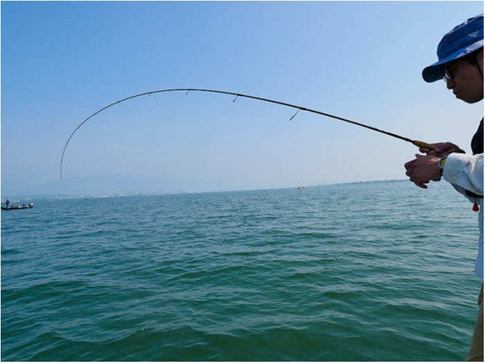 truth  ブログ写真 2018/05/01