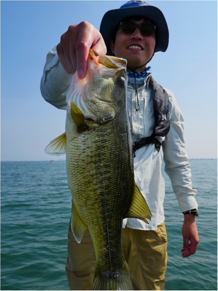 truth  ブログ写真 2018/05/01