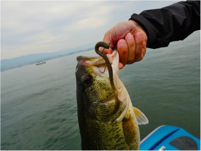 truth  ブログ写真 2018/05/02