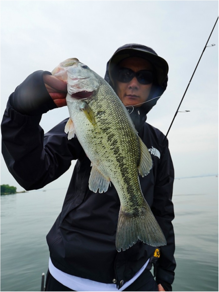 truth  ブログ写真 2018/05/02