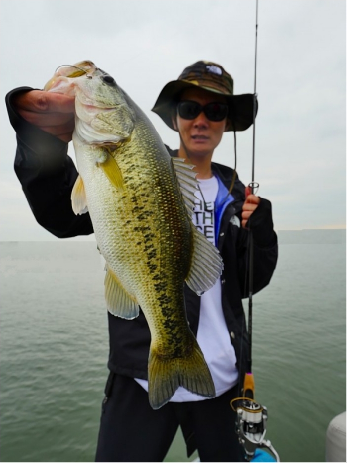 truth  ブログ写真 2018/05/02