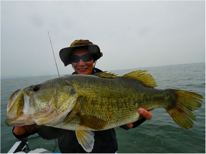 truth  ブログ写真 2018/05/02