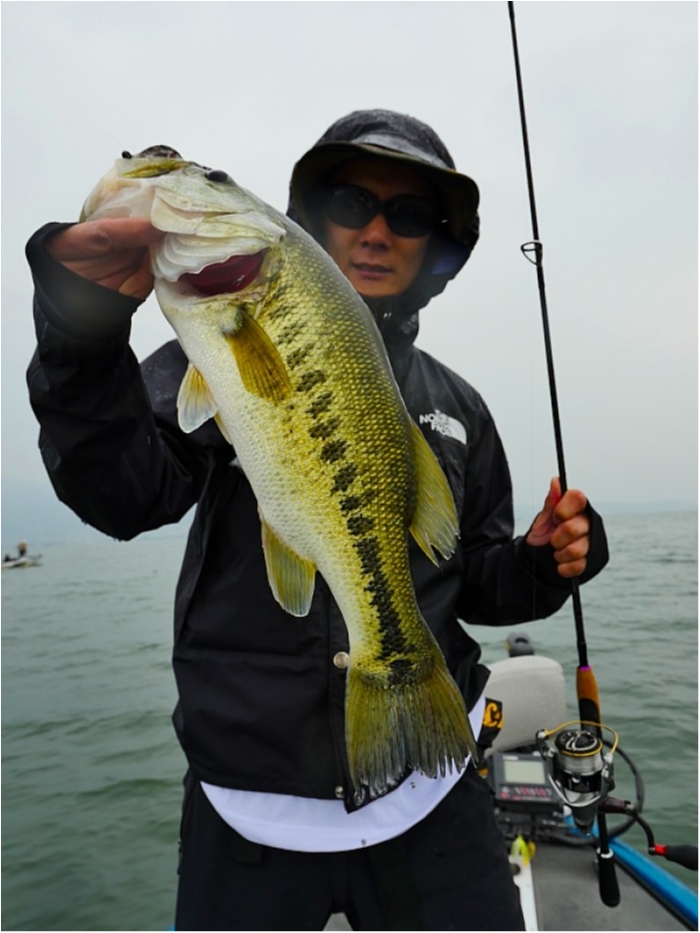 truth  ブログ写真 2018/05/02