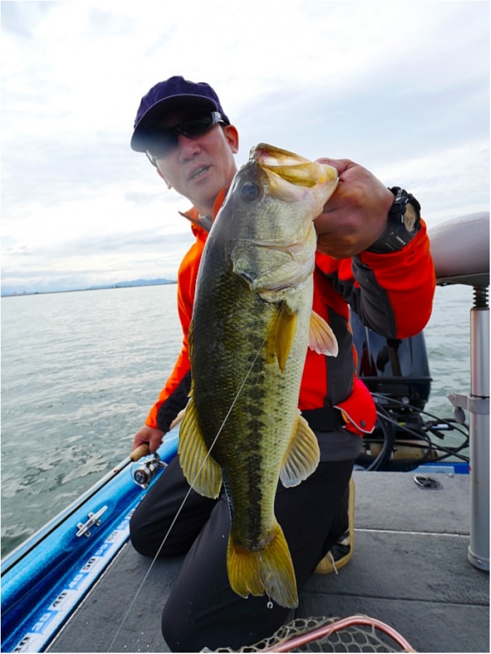 truth  ブログ写真 2018/05/08