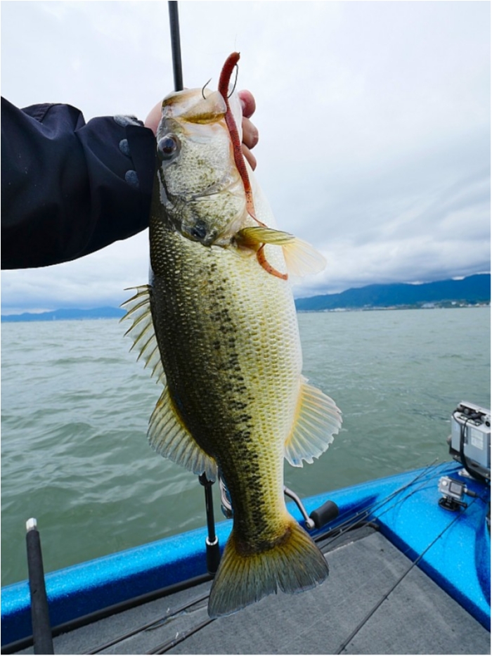 truth  ブログ写真 2018/05/08