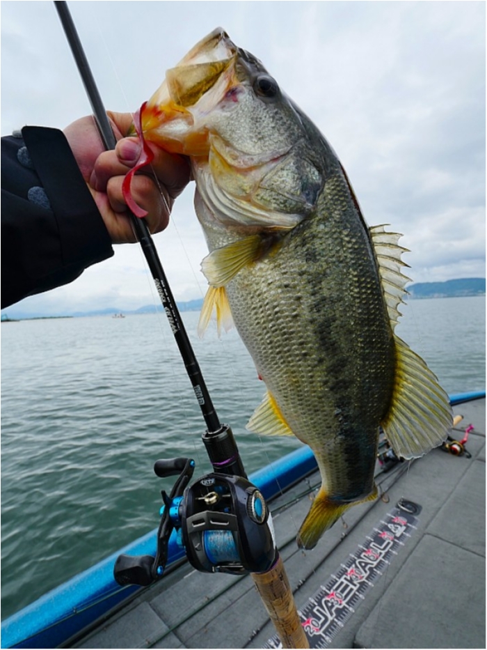 truth  ブログ写真 2018/05/08