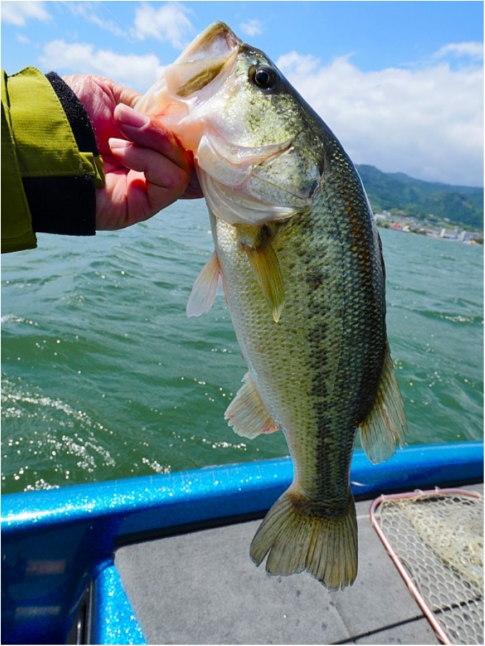 truth  ブログ写真 2018/05/09