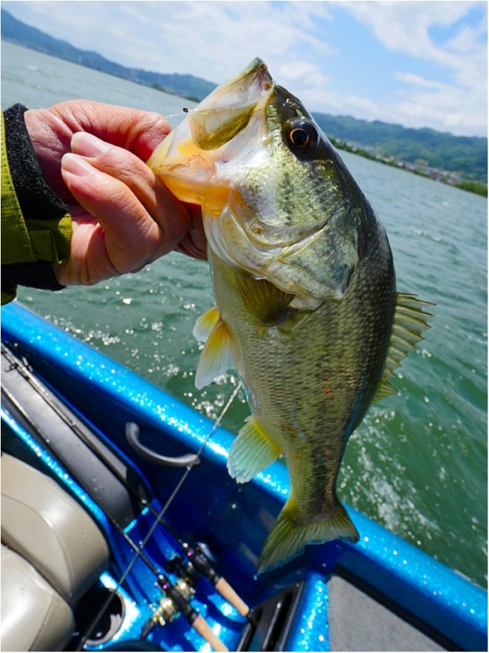 truth  ブログ写真 2018/05/09