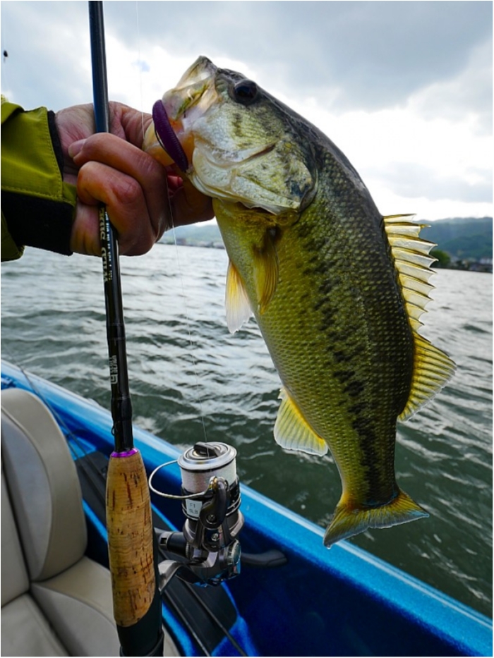 truth  ブログ写真 2018/05/09