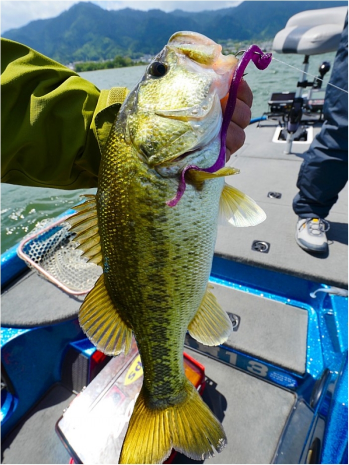 truth  ブログ写真 2018/05/09