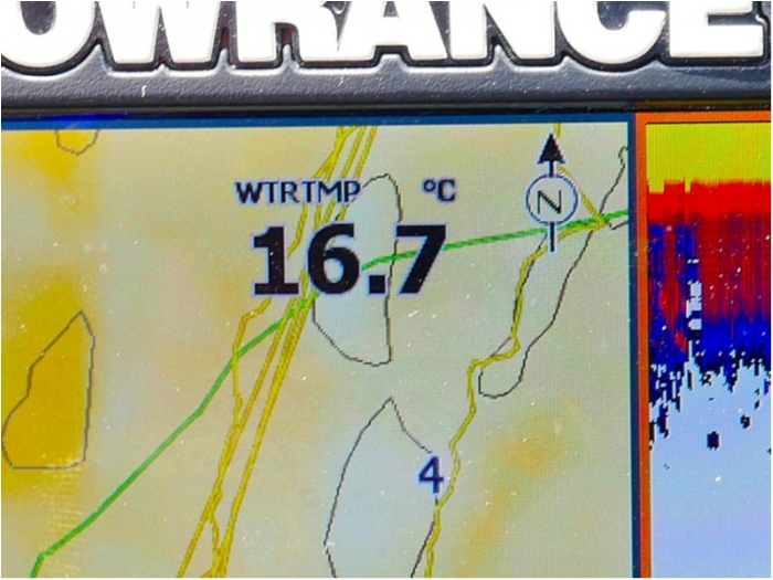 truth  ブログ写真 2018/05/10