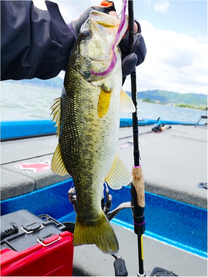 truth  ブログ写真 2018/05/10