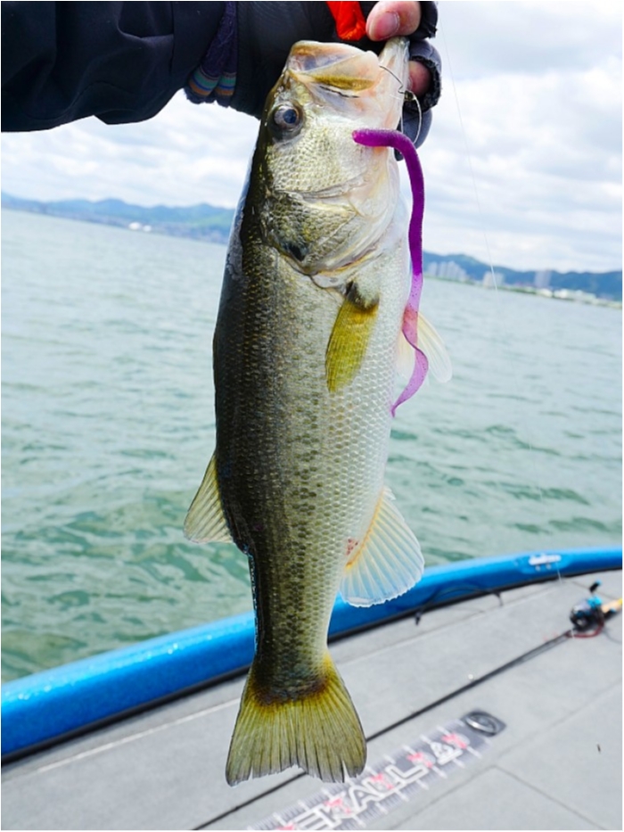 truth  ブログ写真 2018/05/10