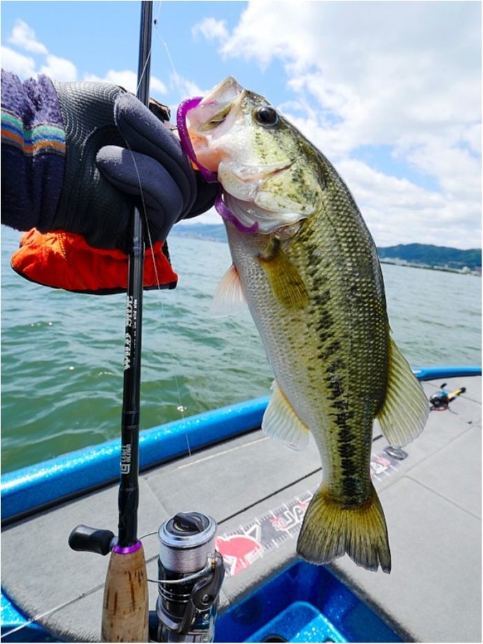 truth  ブログ写真 2018/05/10