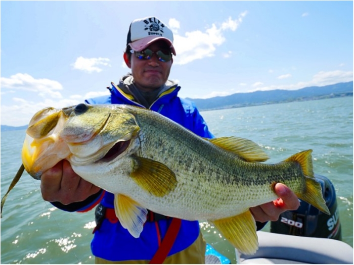 truth  ブログ写真 2018/05/10