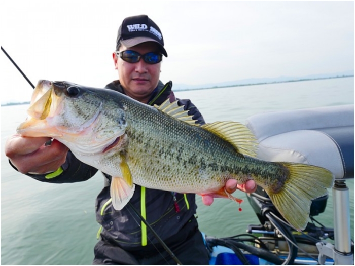 truth  ブログ写真 2018/05/12