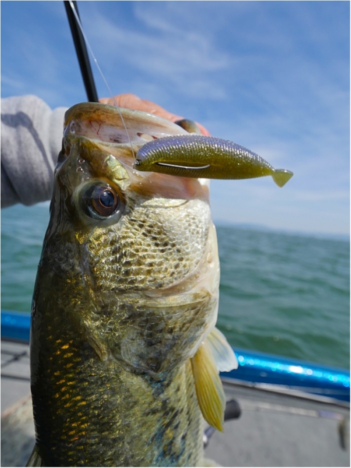 truth  ブログ写真 2018/05/12