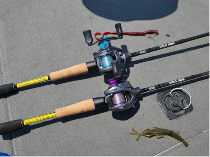 truth  ブログ写真 2018/05/12