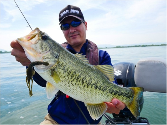 truth  ブログ写真 2018/05/12