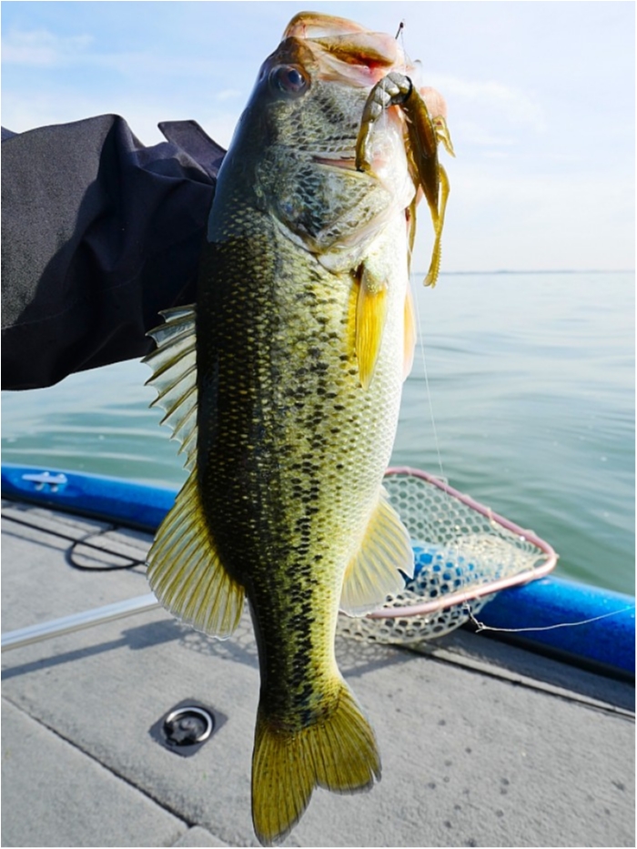 truth  ブログ写真 2018/05/12