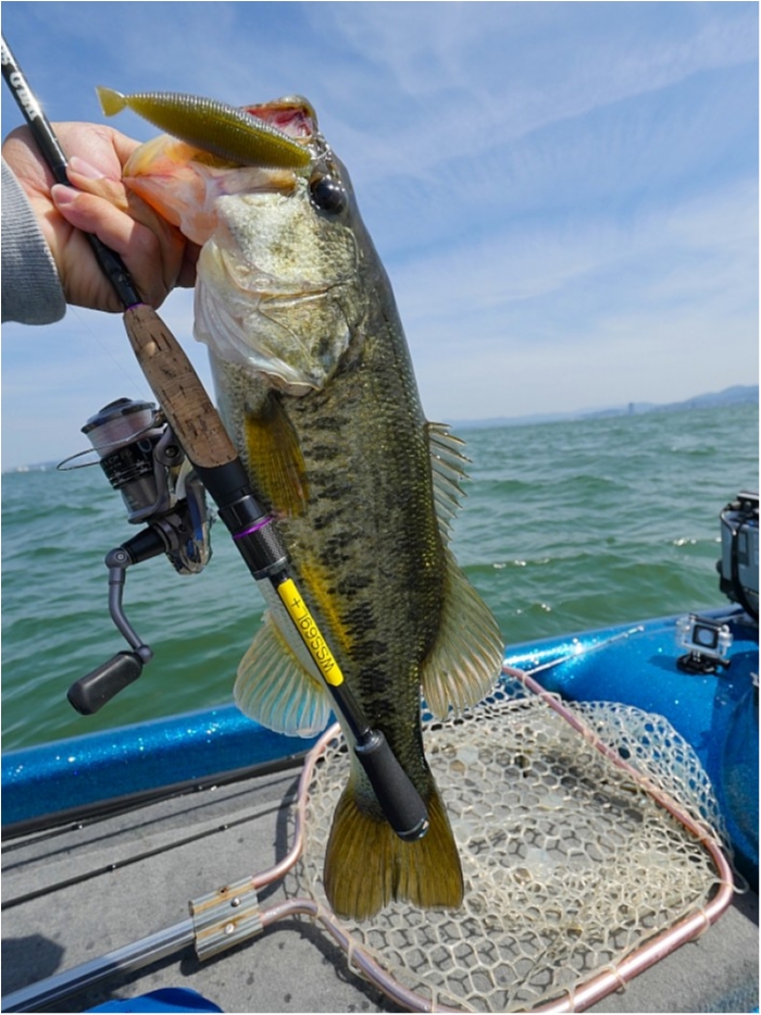 truth  ブログ写真 2018/05/12