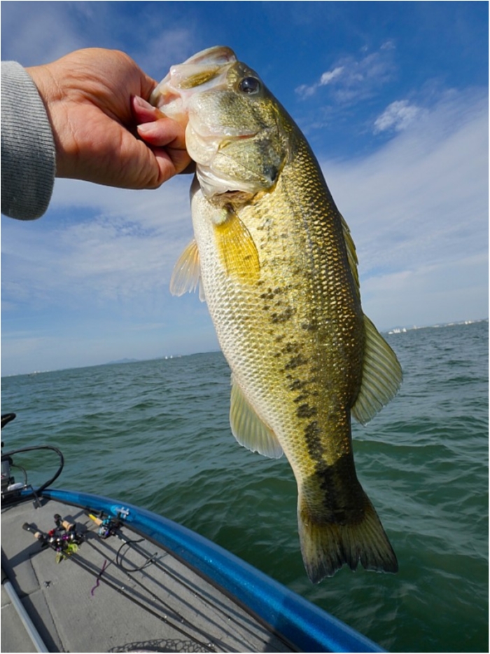 truth  ブログ写真 2018/05/12