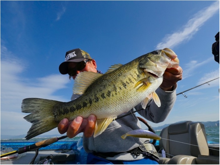 truth  ブログ写真 2018/05/12