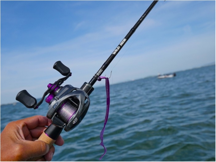 truth  ブログ写真 2018/05/12