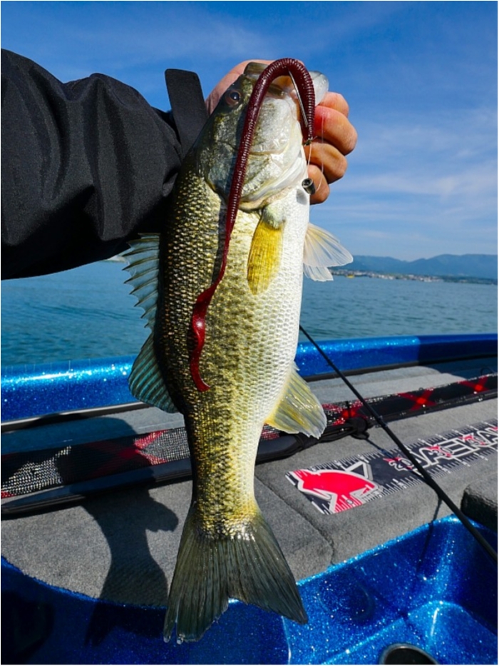 truth  ブログ写真 2018/05/12