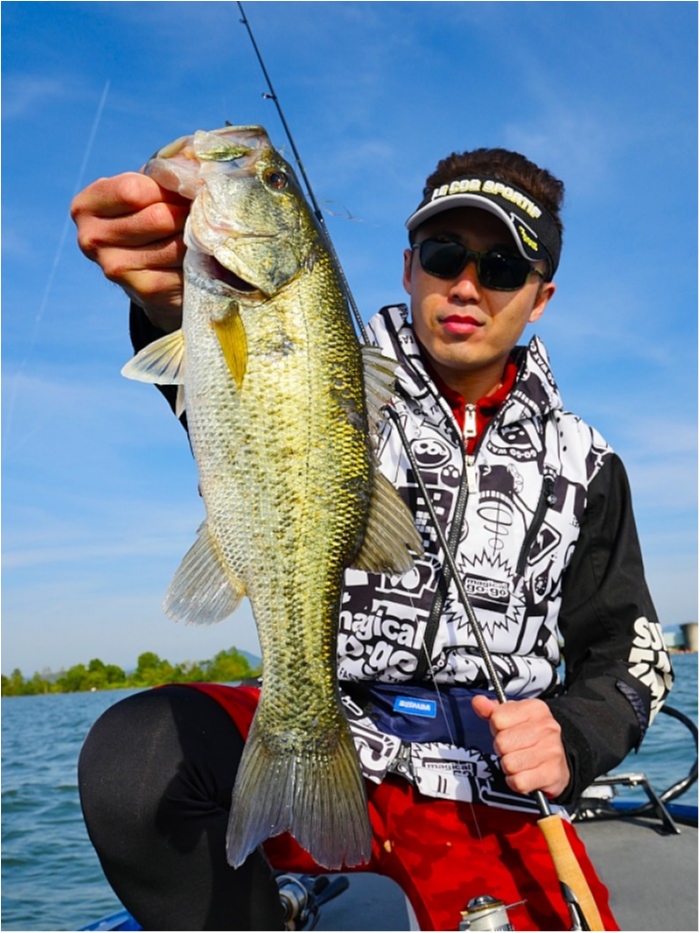 truth  ブログ写真 2018/05/12