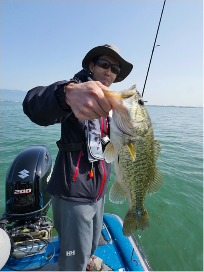 truth  ブログ写真 2018/05/15