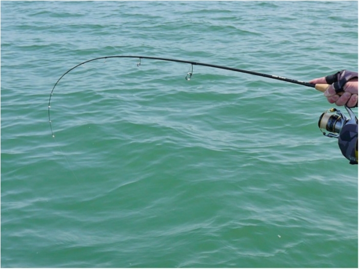 truth  ブログ写真 2018/05/15