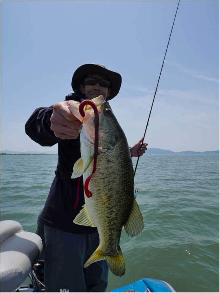 truth  ブログ写真 2018/05/15