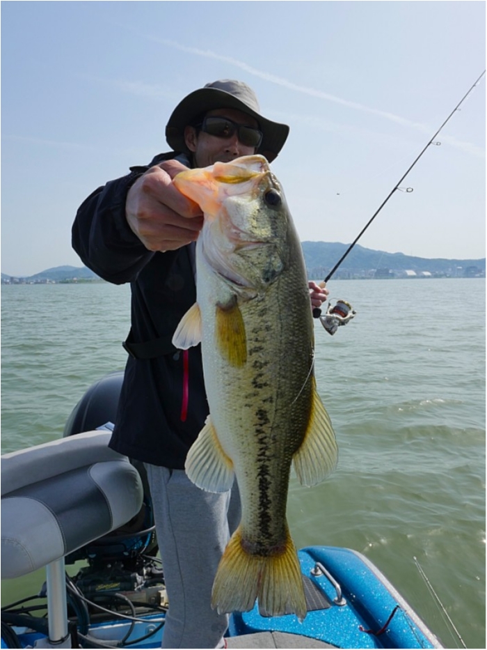 truth  ブログ写真 2018/05/15