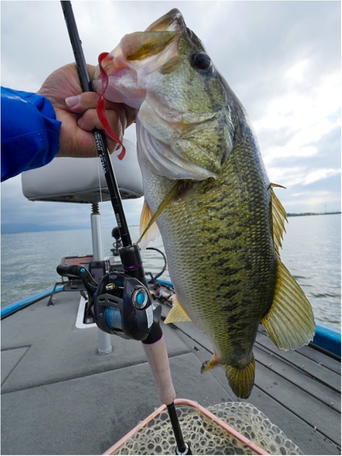 truth  ブログ写真 2018/05/15