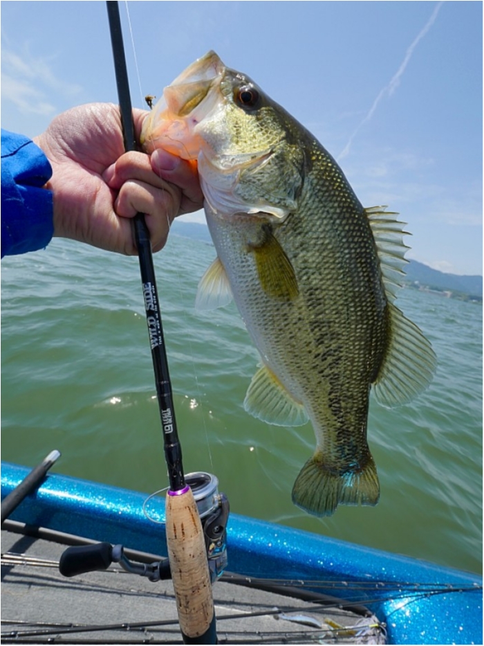 truth  ブログ写真 2018/05/15