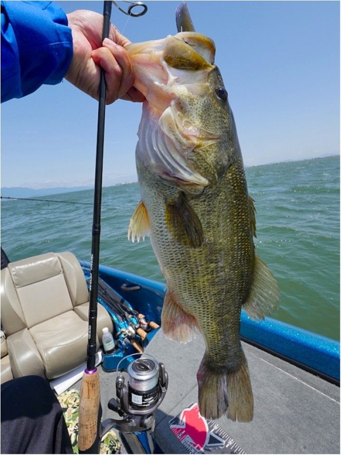 truth  ブログ写真 2018/05/15