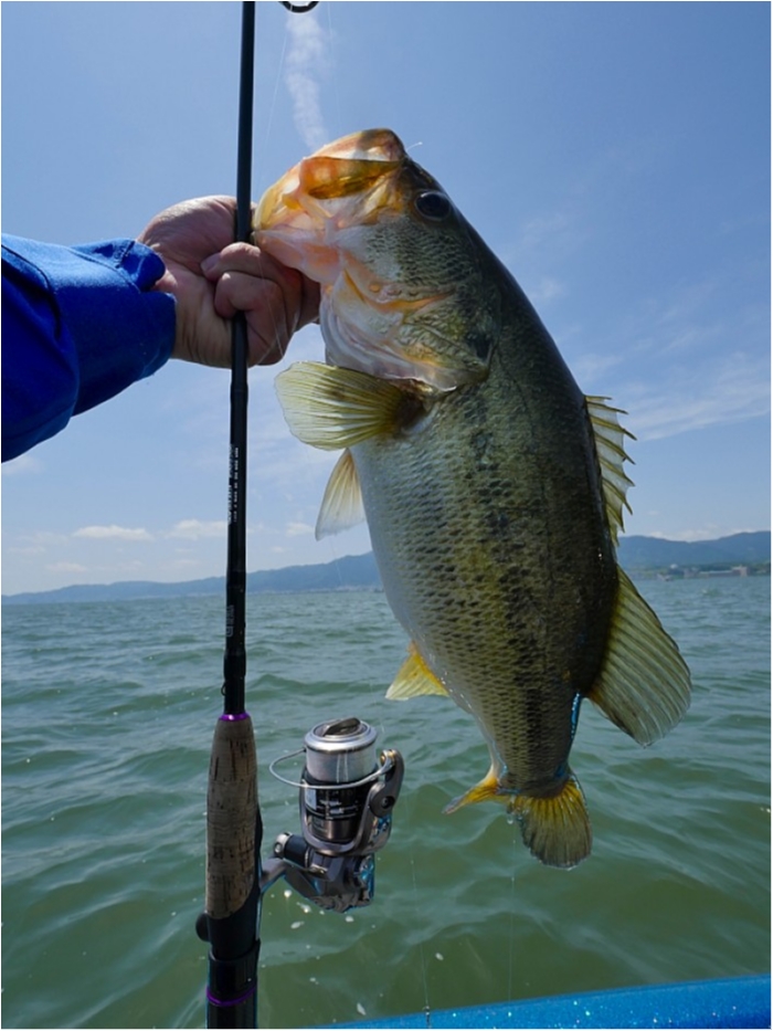 truth  ブログ写真 2018/05/15