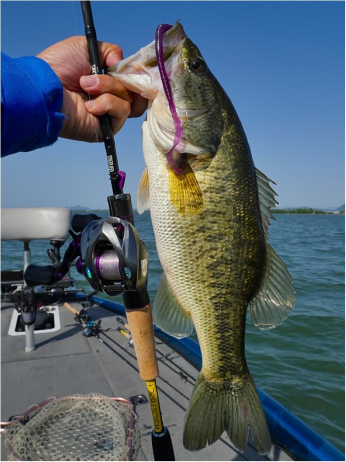 truth  ブログ写真 2018/05/15