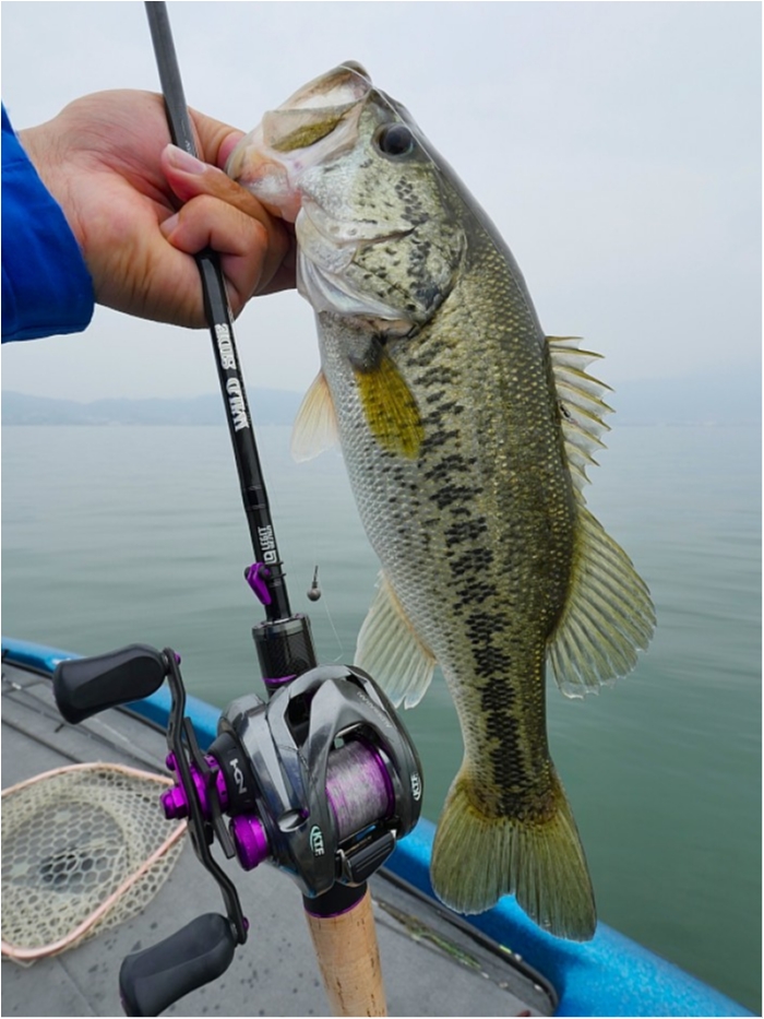 truth  ブログ写真 2018/05/18