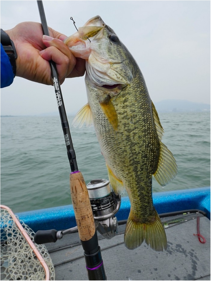 truth  ブログ写真 2018/05/18