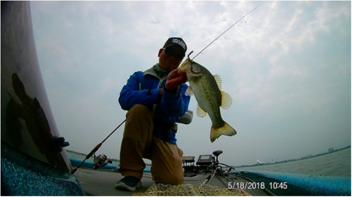 truth  ブログ写真 2018/05/18