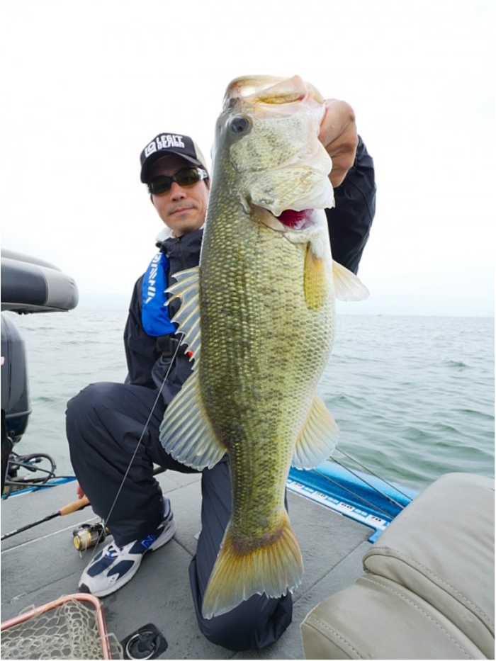 truth  ブログ写真 2018/05/18