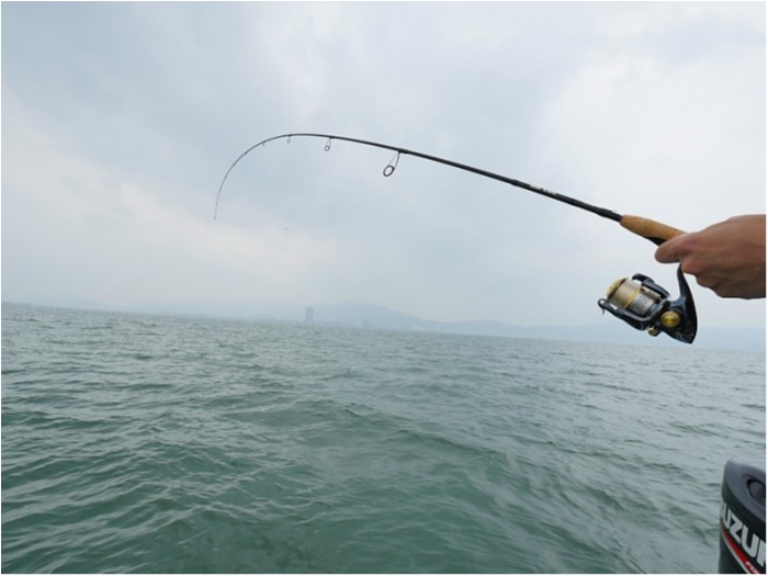 truth  ブログ写真 2018/05/18