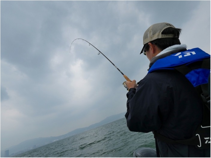 truth  ブログ写真 2018/05/18