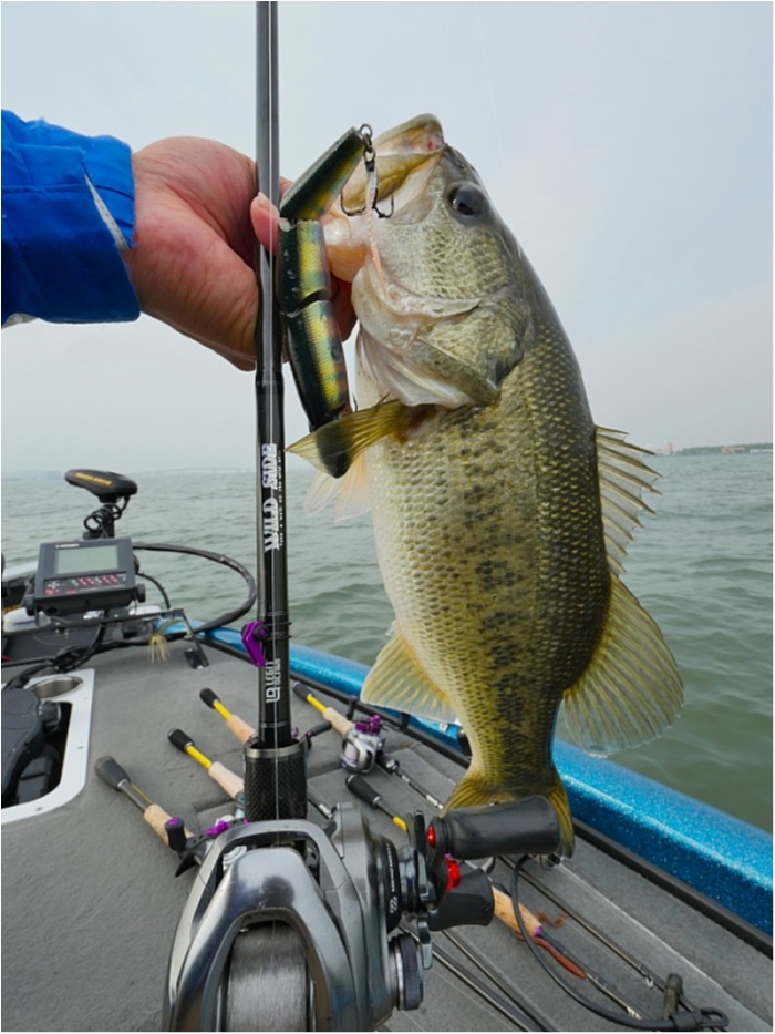 truth  ブログ写真 2018/05/18