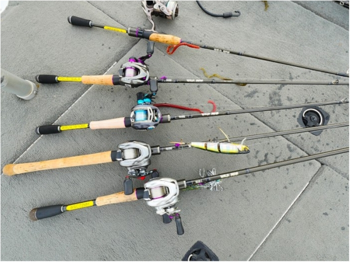 truth  ブログ写真 2018/05/18