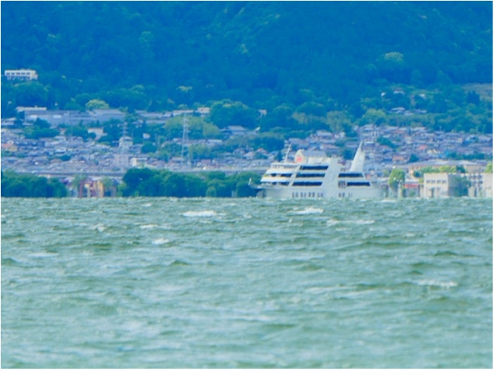 truth  ブログ写真 2018/05/20