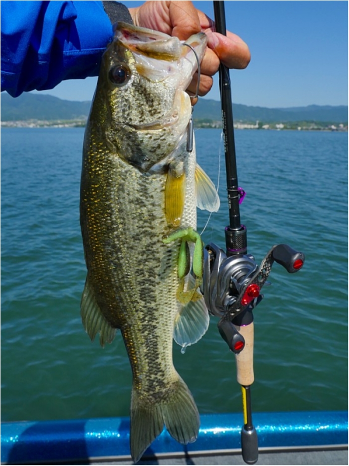 truth  ブログ写真 2018/05/22