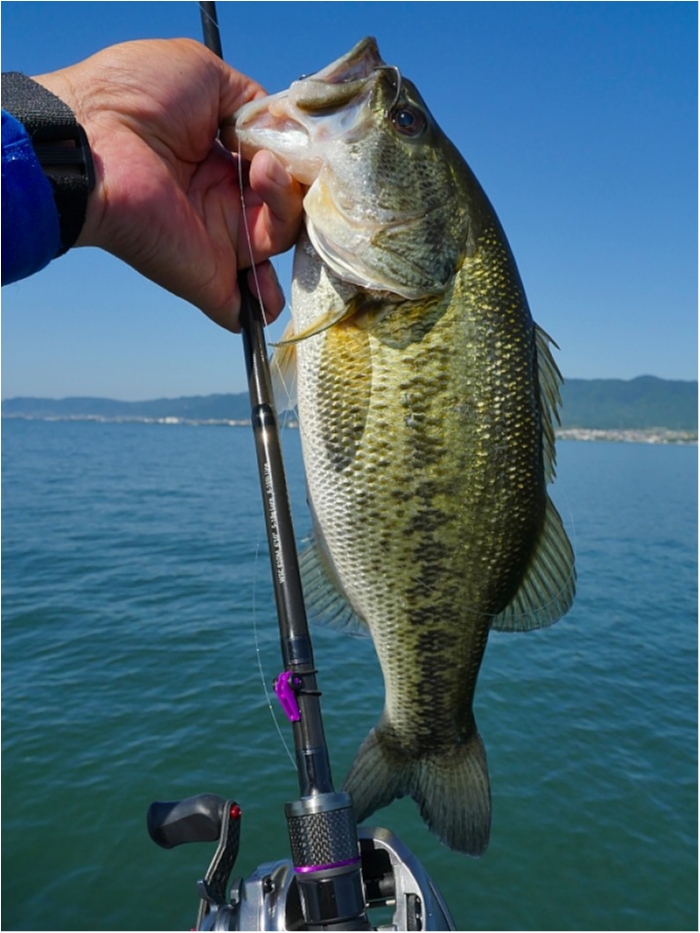 truth  ブログ写真 2018/05/22